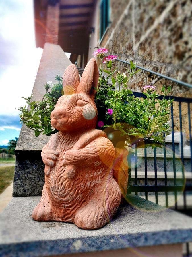 Castelvecchio B&B Sorano  ภายนอก รูปภาพ